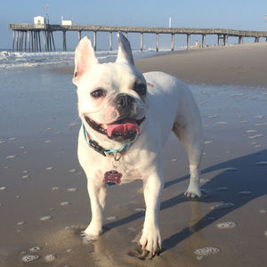 Meet your Posher, April